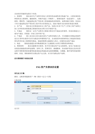 FSG资产负债表的设置