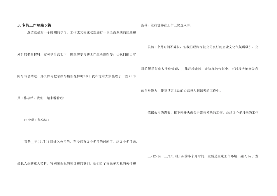 it专员工作总结5篇_第1页