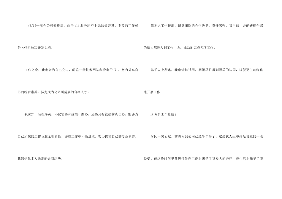 it专员工作总结5篇_第3页