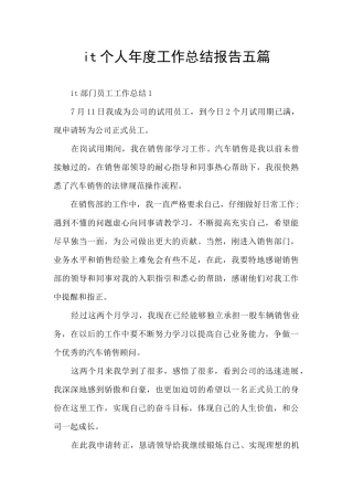 it个人年度工作总结报告五篇