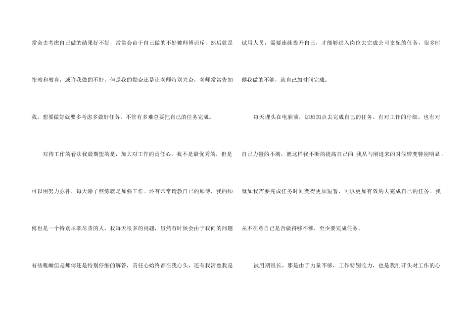 it新员工试用期工作总结5篇2024_第2页