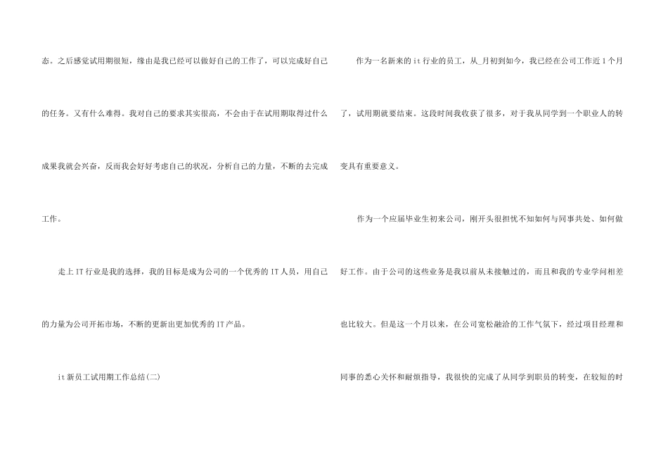 it新员工试用期工作总结5篇2024_第3页