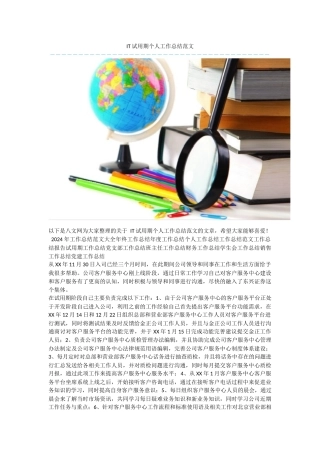 IT试用期个人工作总结范文