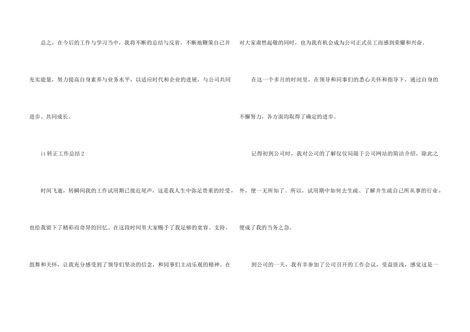 it转正工作总结2024十篇_第3页
