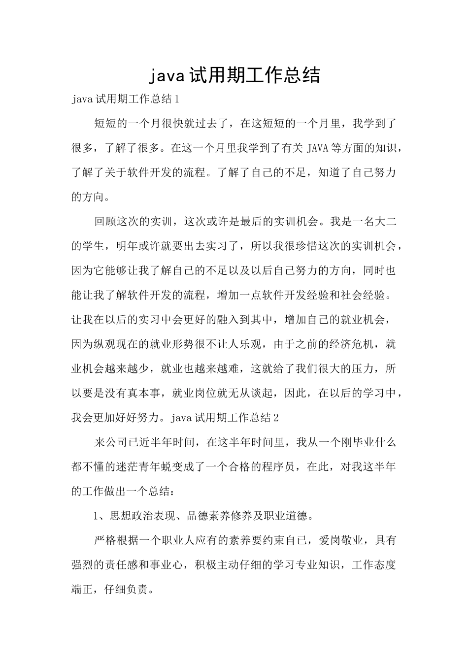 java试用期工作总结_第1页