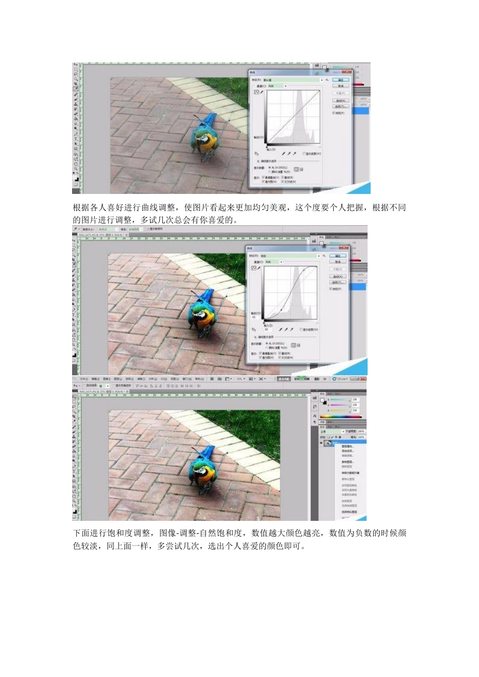 ps简单处理图片颜色的图文教程_第2页