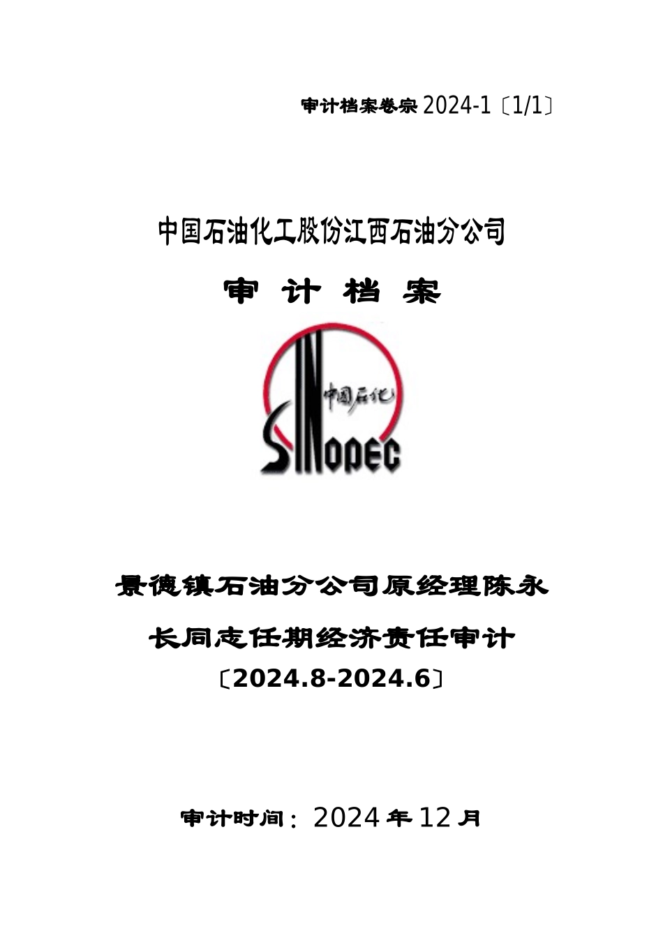 XXXX年审计档案封面_第1页