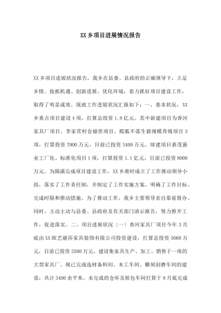 XX乡项目进展情况报告