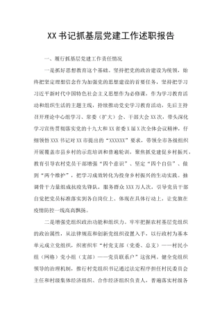 XX书记抓基层党建工作述职报告