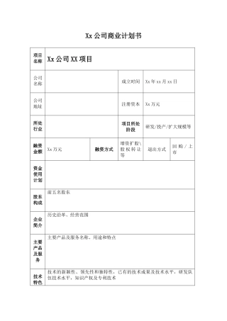 XX公司商业计划书
