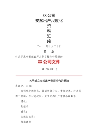 XX公司安全标准化资料汇编