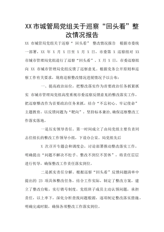 XX市城管局党组关于巡察“回头看”整改情况报告