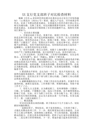 XX支行党支部班子对照检查材料