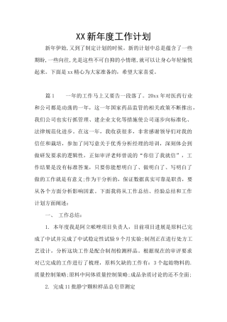 XX新年度工作计划
