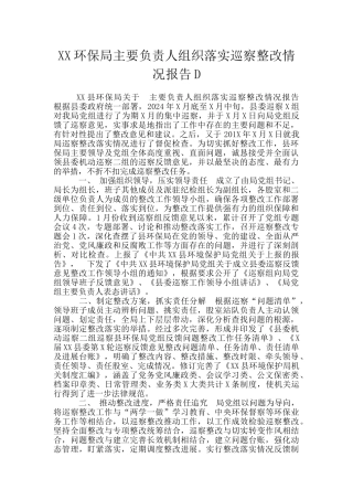 XX环保局主要负责人组织落实巡察整改情况报告D