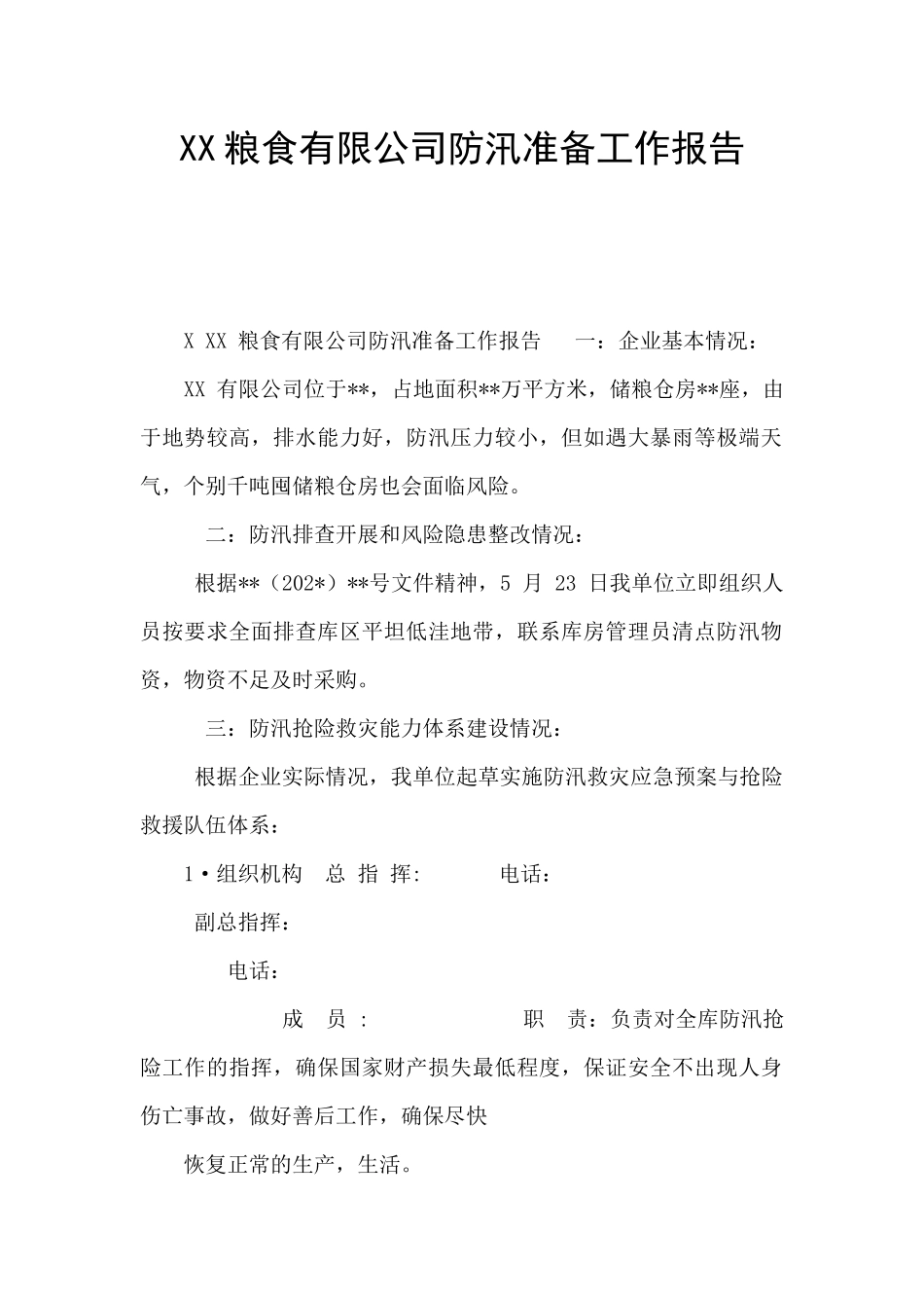 XX粮食有限公司防汛准备工作报告_第1页