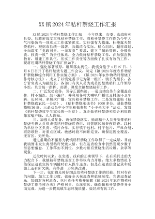 XX镇2024年秸秆禁烧工作汇报