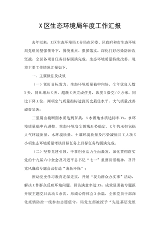 X区生态环境局年度工作汇报