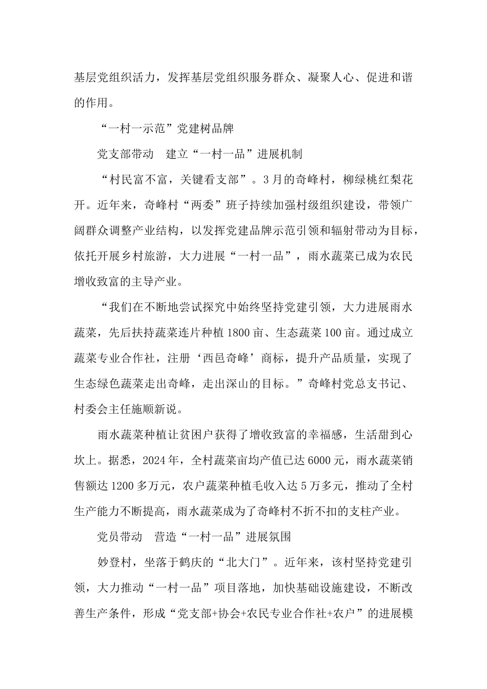 “一村一示范”党建树品牌_第3页
