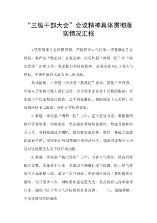 “三级干部大会”会议精神具体贯彻落实情况汇报