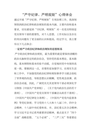 “严守纪律、严明规矩”心得体会