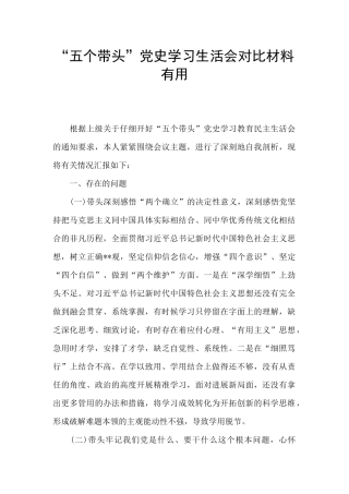 “五个带头”党史学习生活会对照材料实用