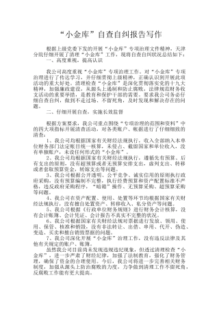 “小金库”自查自纠报告写作