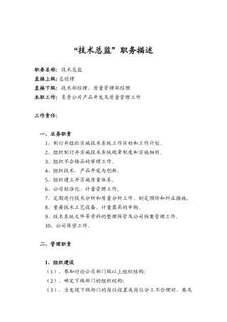 “技术总监”职务