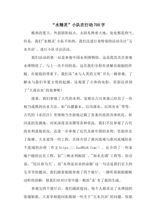 “水精灵”小队在行动700字