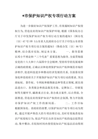 -市保护知识产权专项行动方案