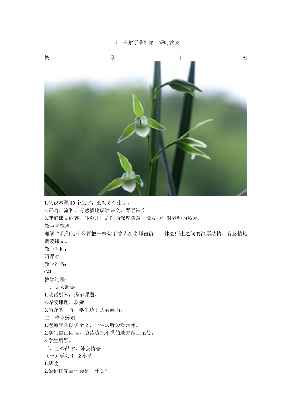 《一株紫丁香》第二课时教案_第1页