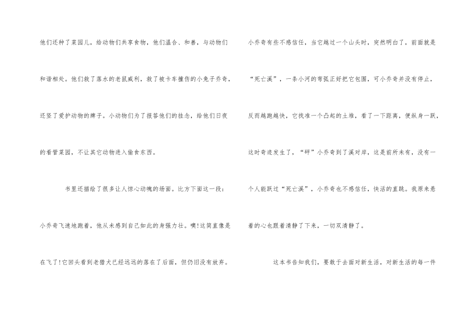 《兔子坡》读后感600字_第2页