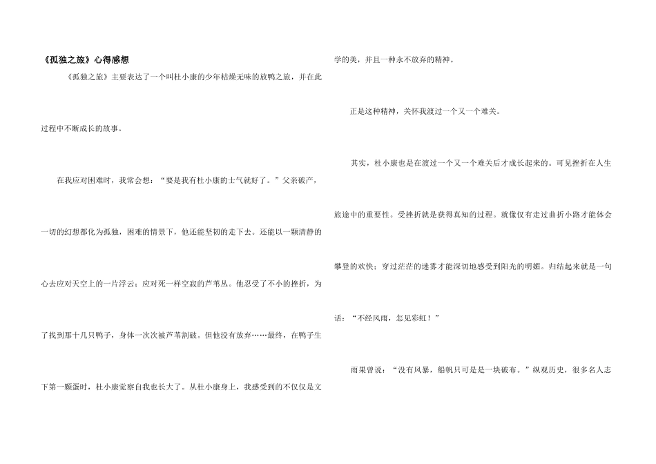《孤独之旅》心得感想_第1页