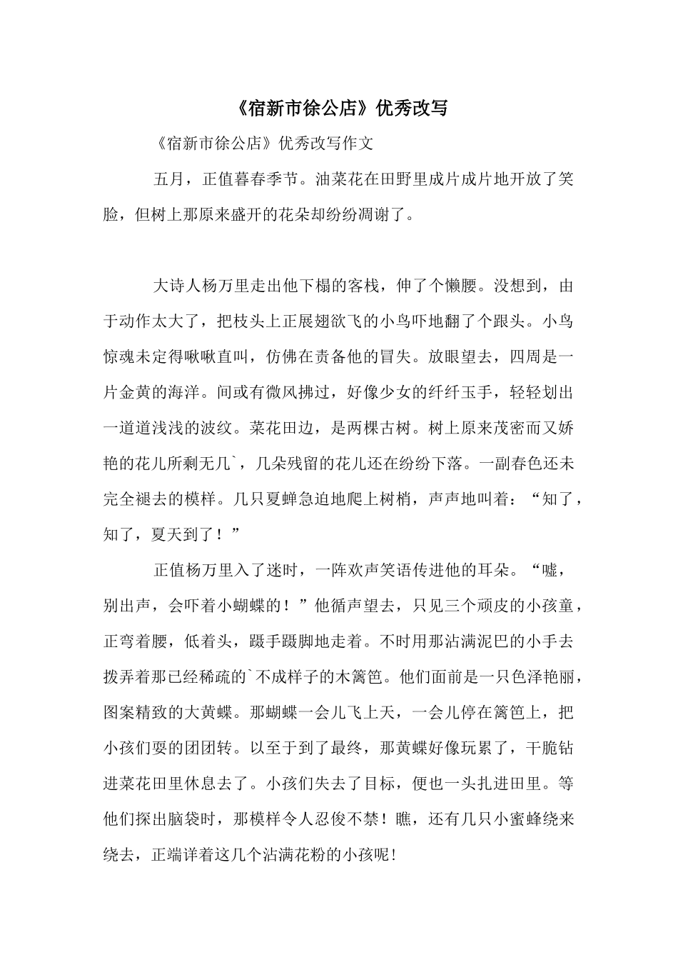 《宿新市徐公店》优秀改写_第1页