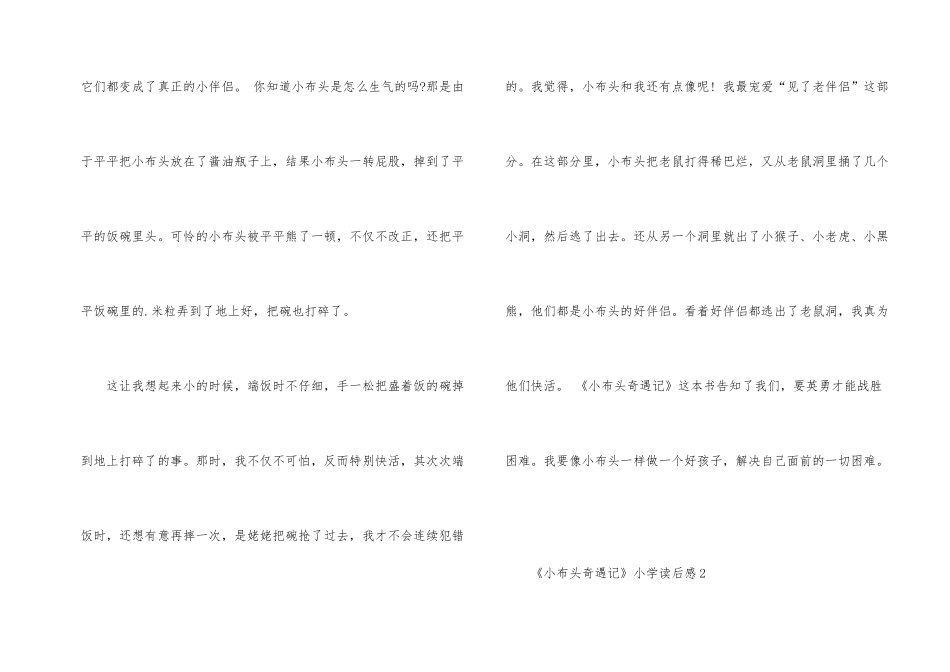 《小布头奇遇记》小学读后感_第2页