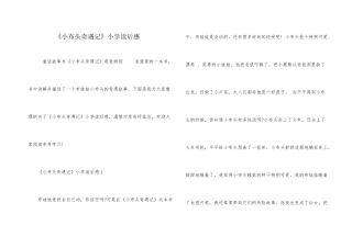 《小布头奇遇记》小学读后感