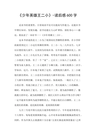 《少年英雄王二小》