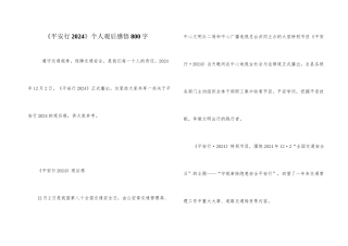 《平安行2024》个人观后感悟800字
