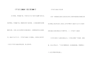 《平安行2024》观后感500字