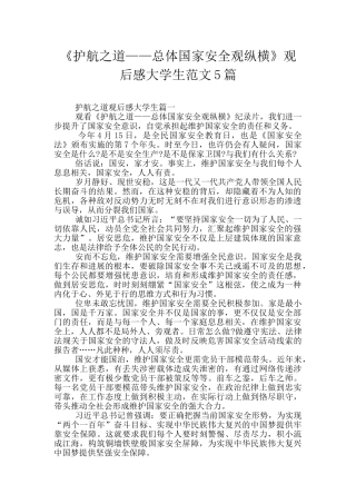 《护航之道——总体国家安全观纵横》观后感大学生范文5篇