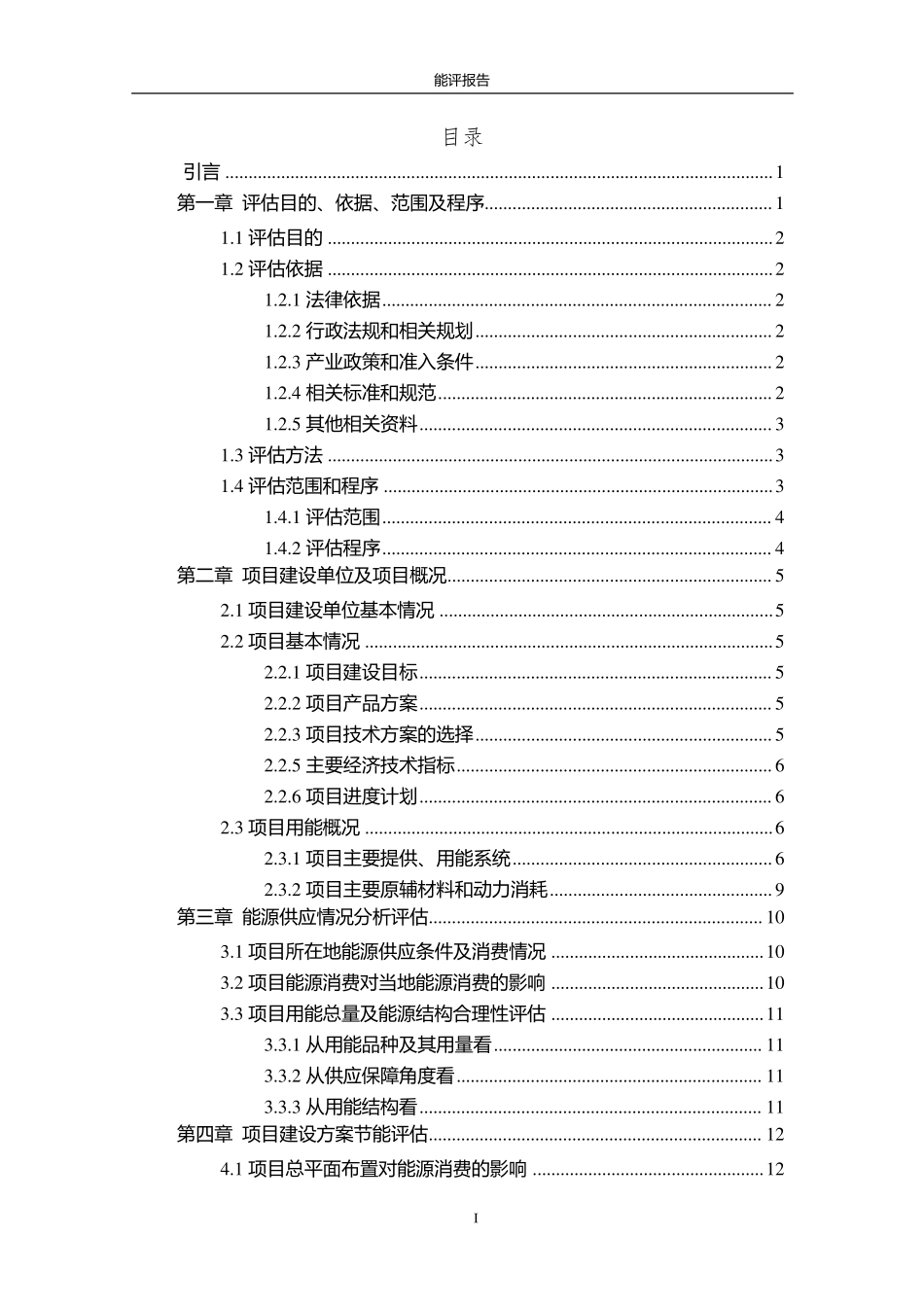 能评报告模板_第1页