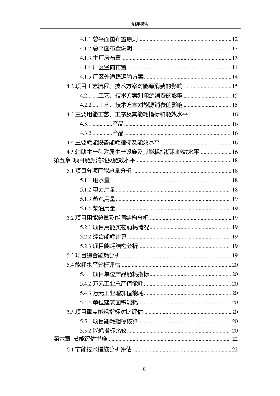 能评报告模板_第2页