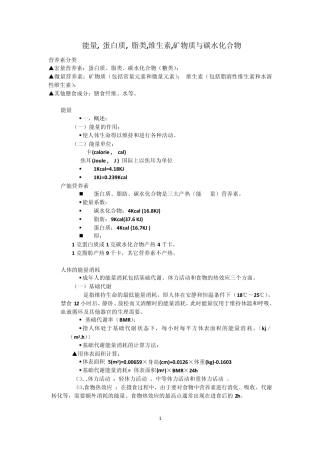 能量__蛋白质__脂类_维生素_矿物质