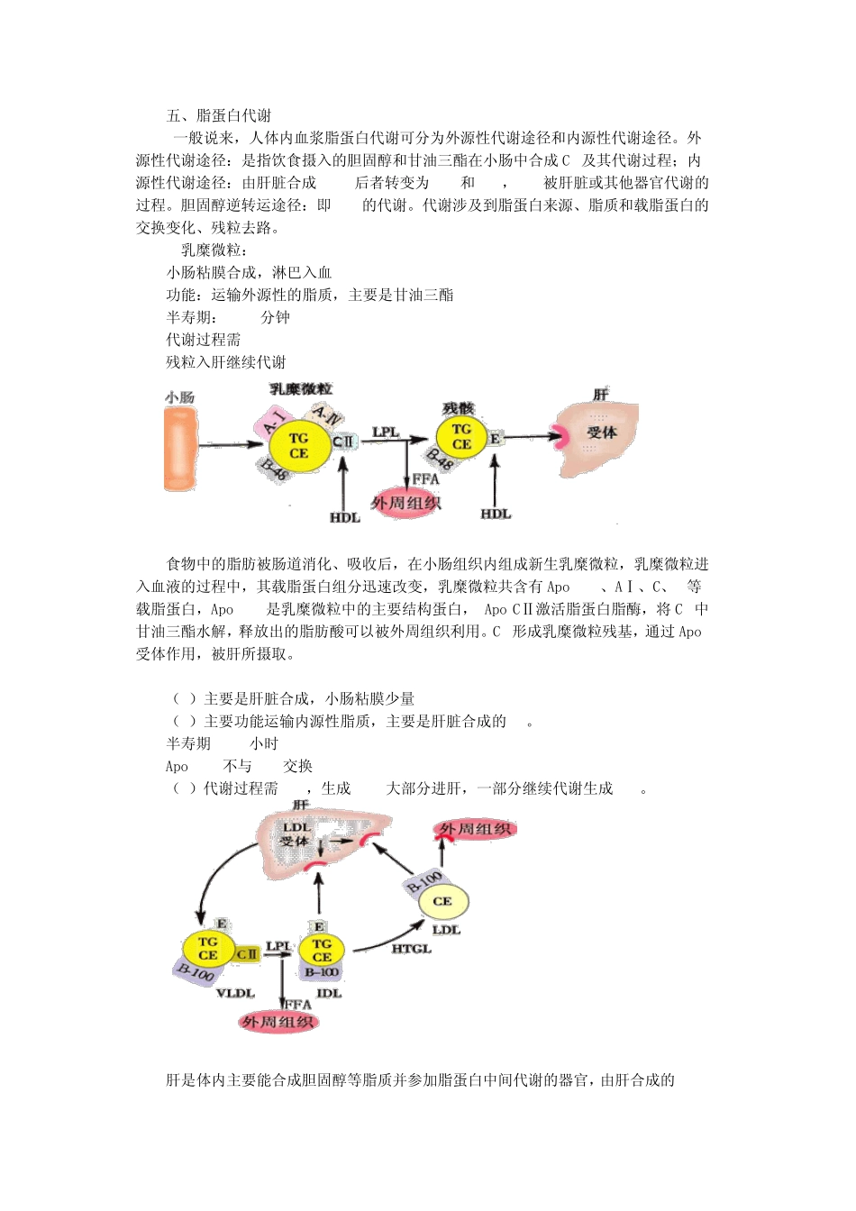 脂代谢及高脂血症的检查_第2页