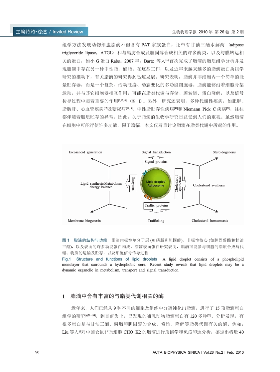脂滴——细胞脂类代谢的细胞器_第2页
