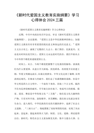 《新时代爱国主义教育实施纲要》学习心得体会2024三篇