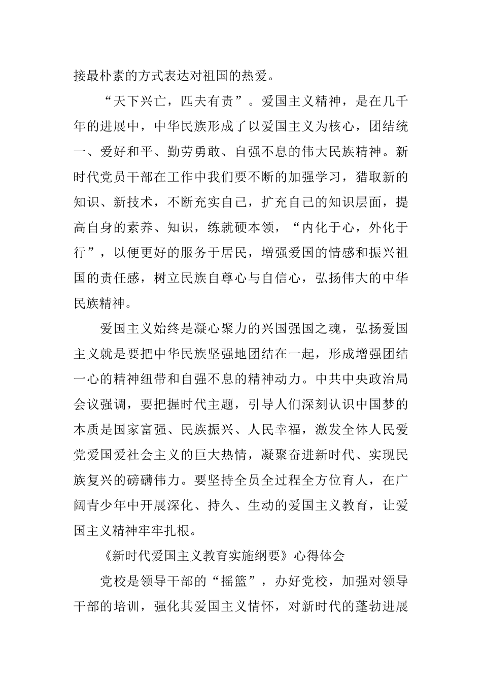 《新时代爱国主义教育实施纲要》教师心得体会五篇范文_第2页