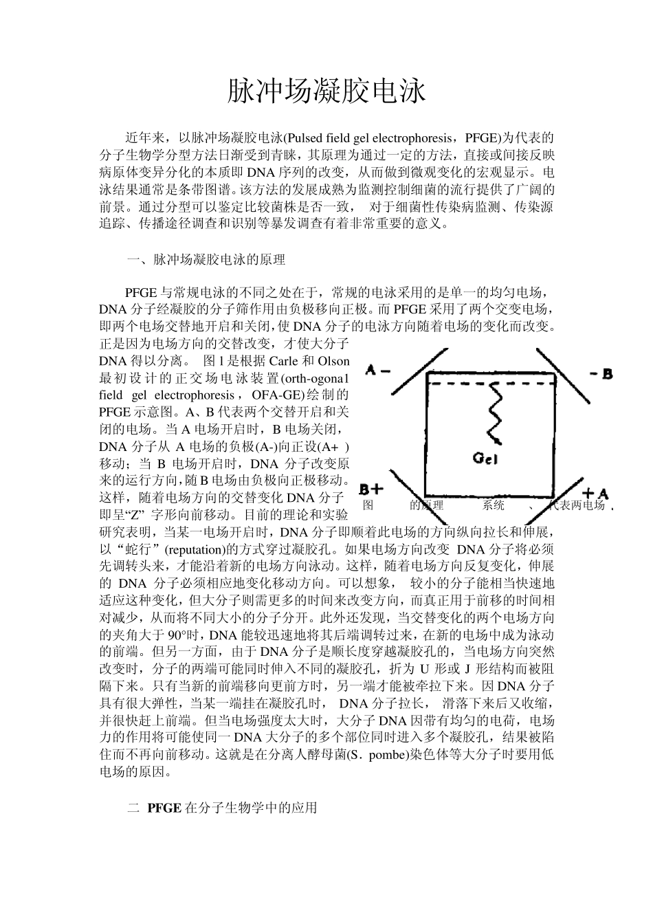 脉冲场凝胶电泳_第1页