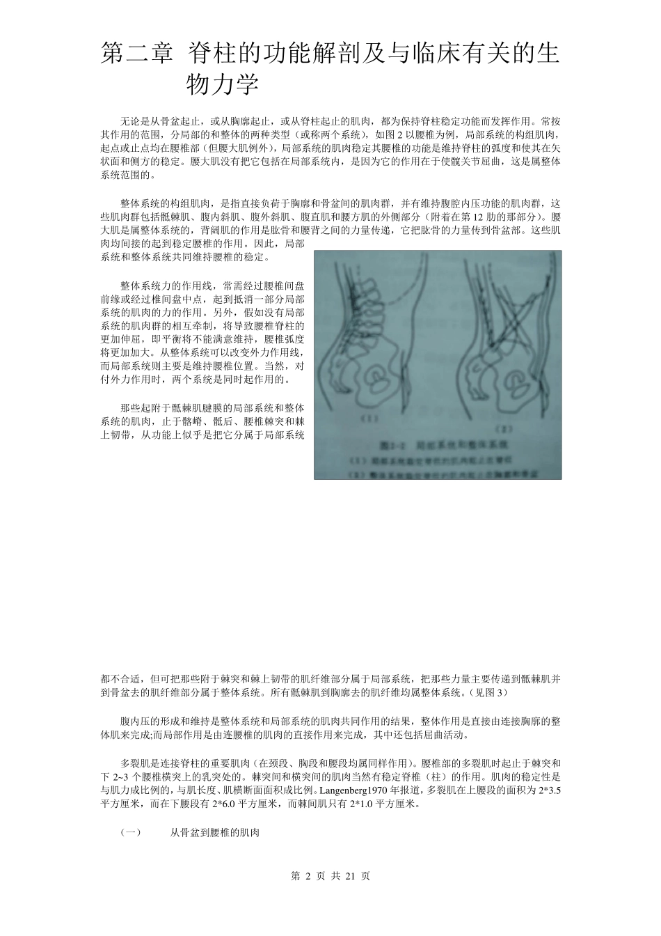 脊柱的功能解剖_第2页