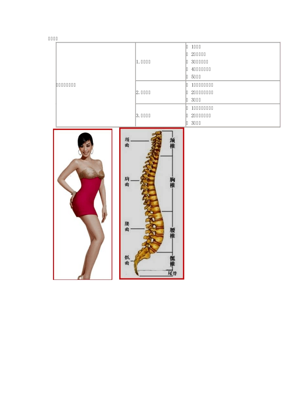 脊柱脊髓损伤和骨盆骨折_第1页